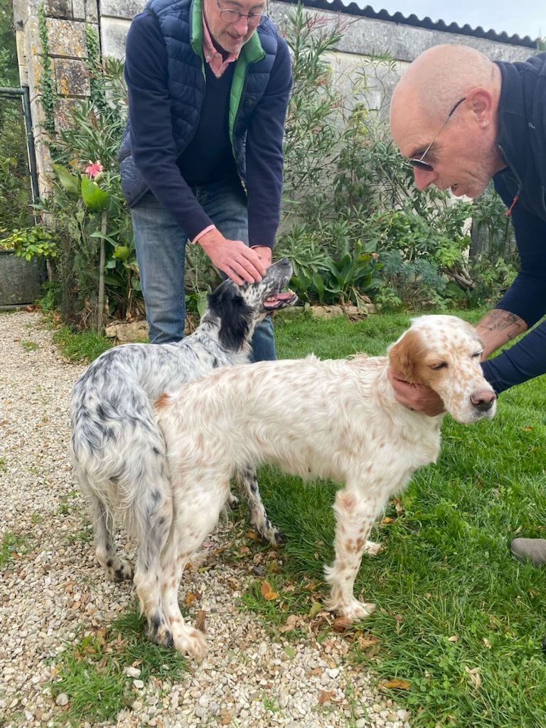 Saillie effectuée au BDR